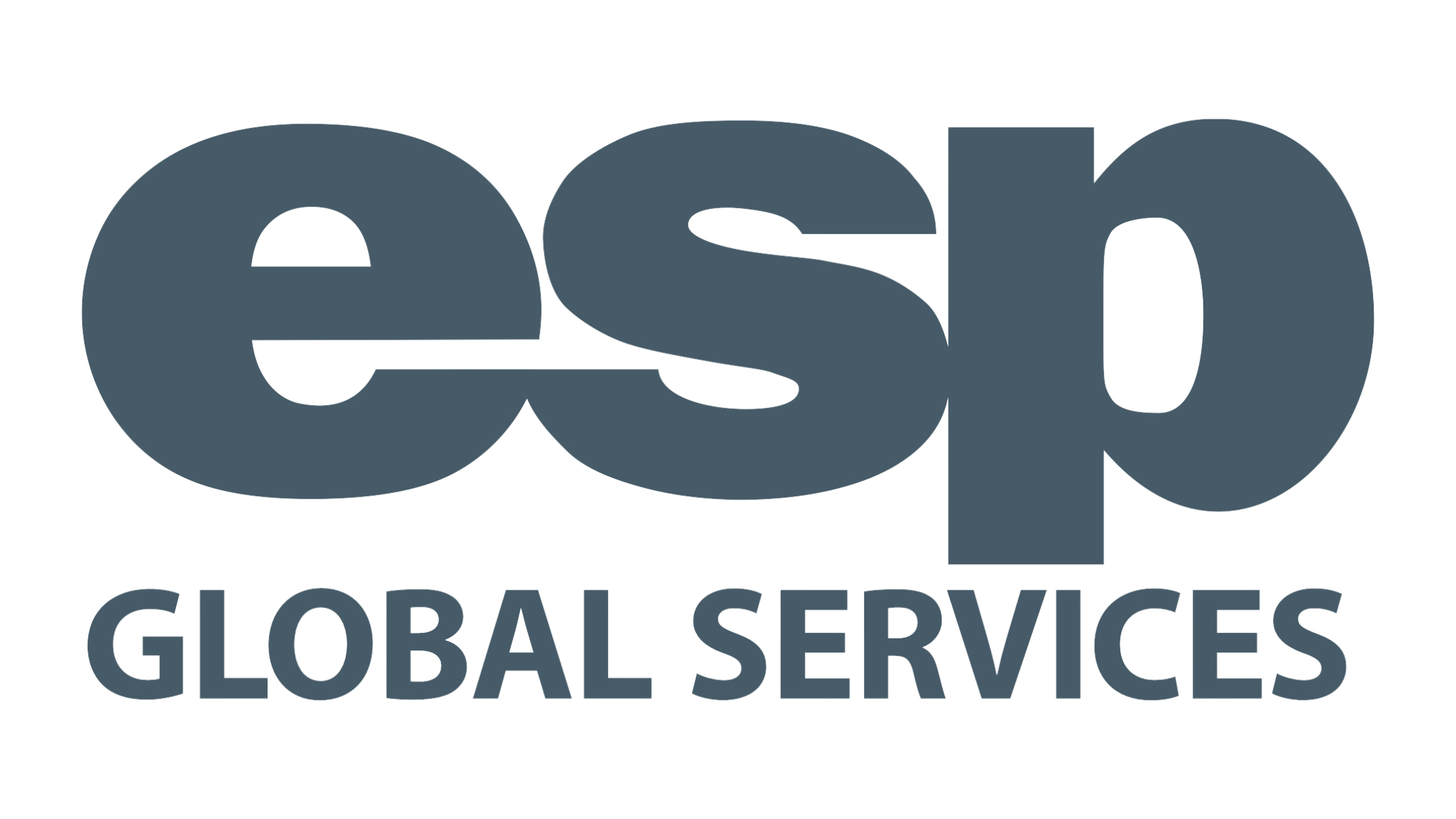 ESP Global Services